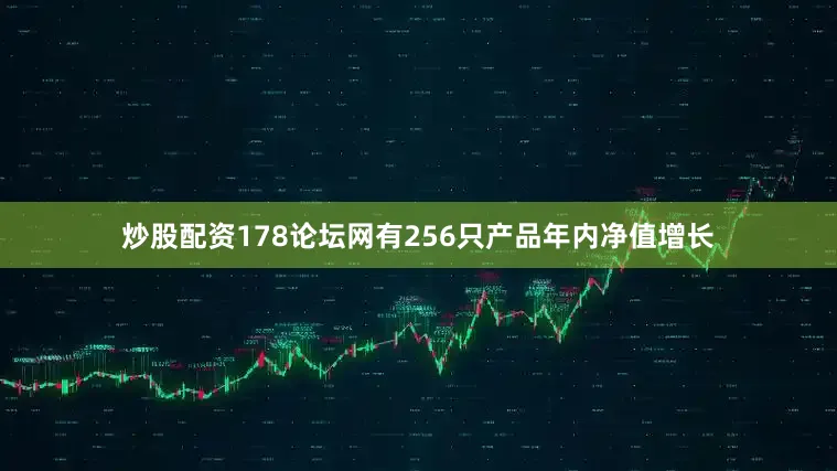 炒股配资178论坛网有256只产品年内净值增长