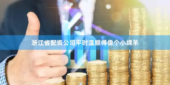 浙江省配资公司平时温顺得像个小绵羊