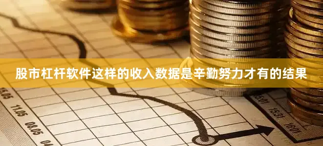 股市杠杆软件这样的收入数据是辛勤努力才有的结果