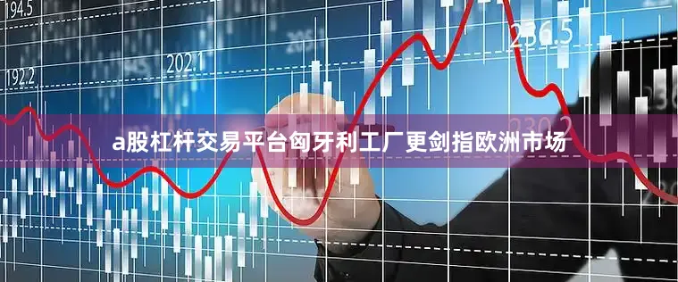 a股杠杆交易平台匈牙利工厂更剑指欧洲市场